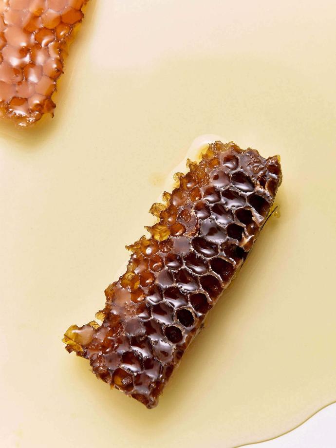 Ernaehrung entdecken Propolis und Bienenprodukte als natuerliche Ergaenzung fuer den Alltag Ernaehrung Teaser Honigwabe in Honig Nahaufnahme auf hellem Hintergrund